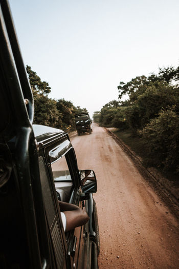 Safari view from a jeep