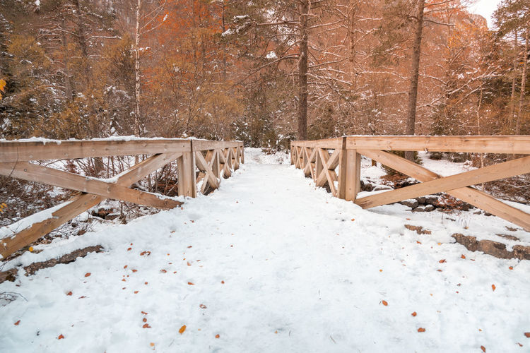 Snow covered footbridge in forest