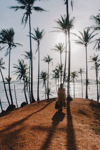 Shadow of man on palm trees on beach against sky