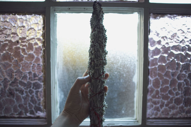 Cropped image of hand holding tied herb against window