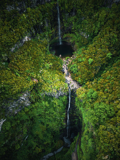 High angle view of waterfall in forest