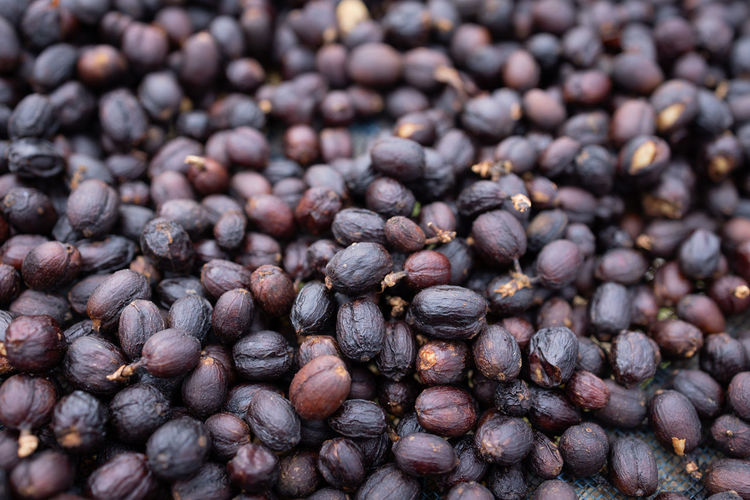 Full frame shot of blueberries