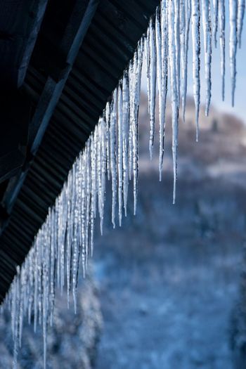 Low angle view of icicles hanging from roof