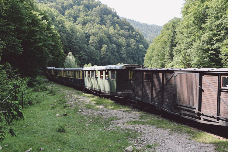 Train on field against trees