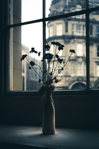 Close-up of flower vase against window at home