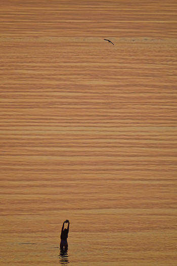 Full length of man standing on sea shore