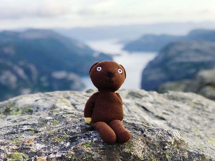 Close-up of teddy bear on rock
