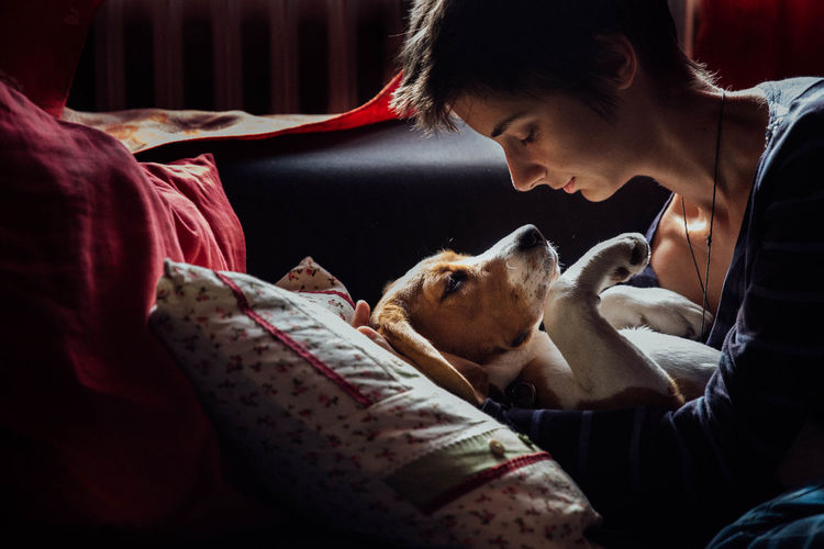 Close-up of young woman playing with dog on bed