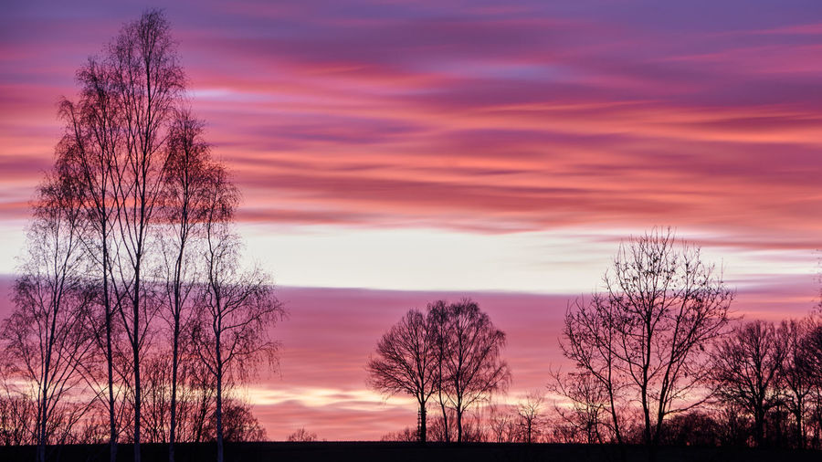 Silhouette bare trees by lake against sky during sunset