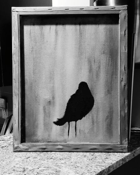 Black bird on a window