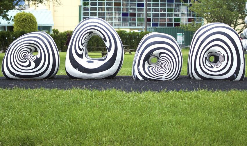 Close-up of spiral on grass