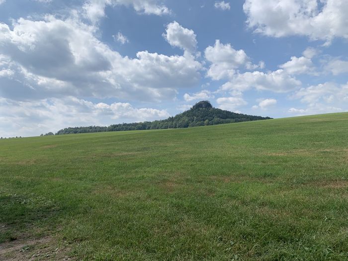 Scenic view of field against sky
