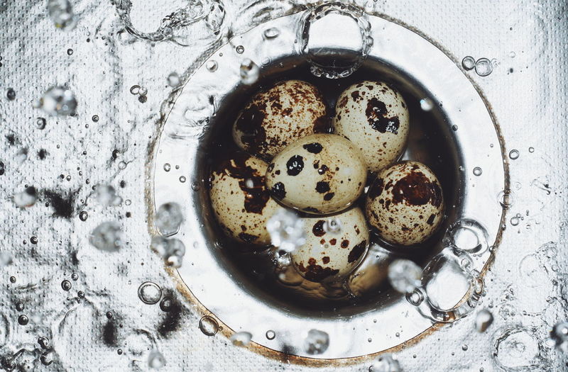 Directly above shot of quail eggs in kitchen sink