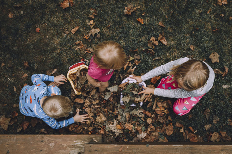 High angle view of siblings playing with autumn leaves