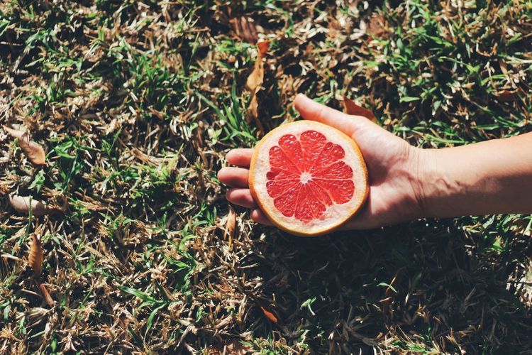 Cropped image of hand holding slice grapefruit on field