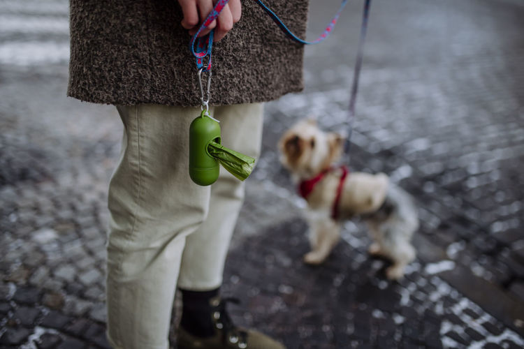 Woman with poop bag dispenser standing by pet dog on road