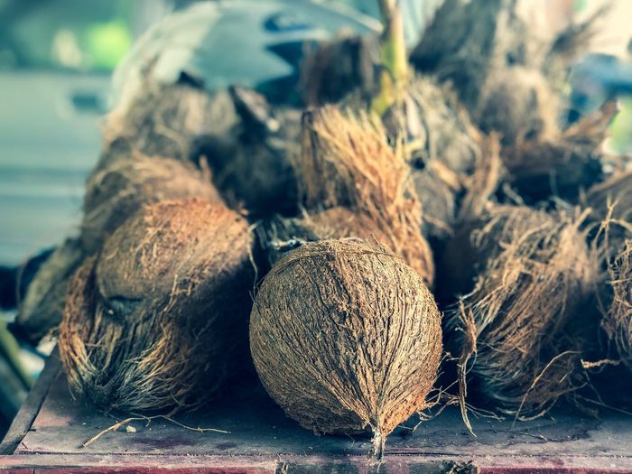 Close-up of dried plant on table