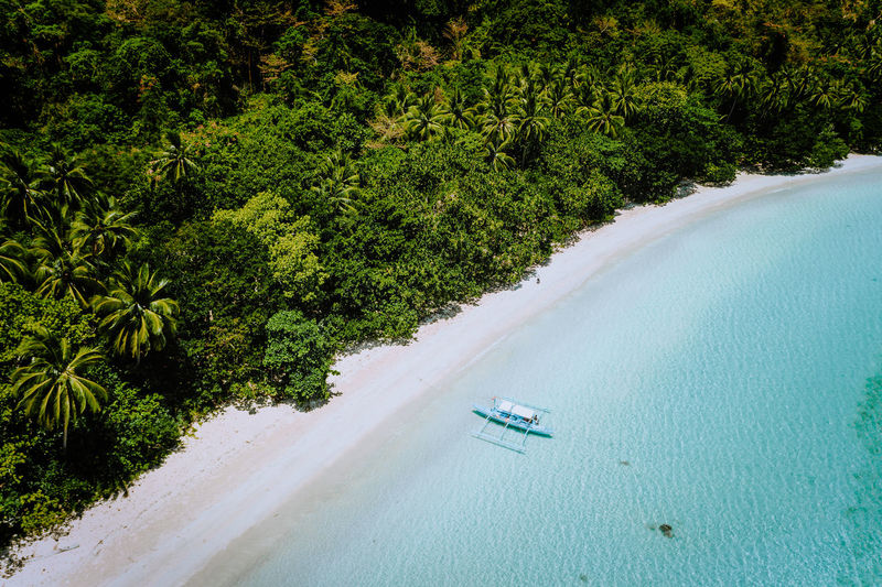 Aerial view of boat at beach and trees