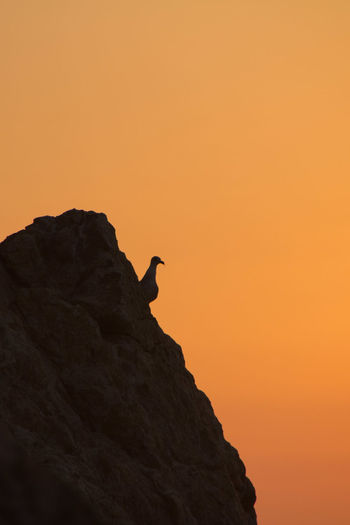 Silhouette of rock formation against orange sky