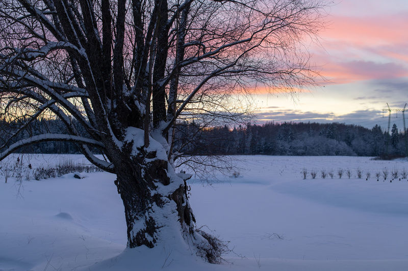 winter