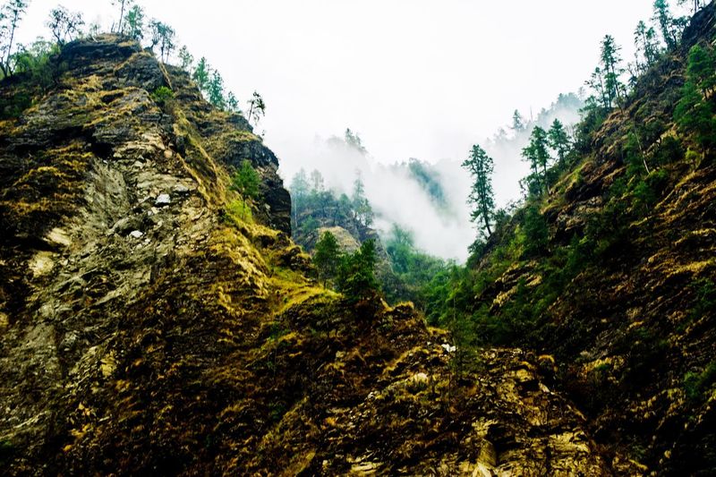 Low angle view of trees and mountains against sky