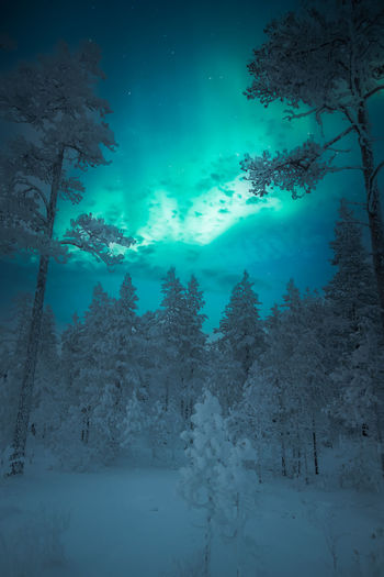 Scenic view of snow covered land against sky at night