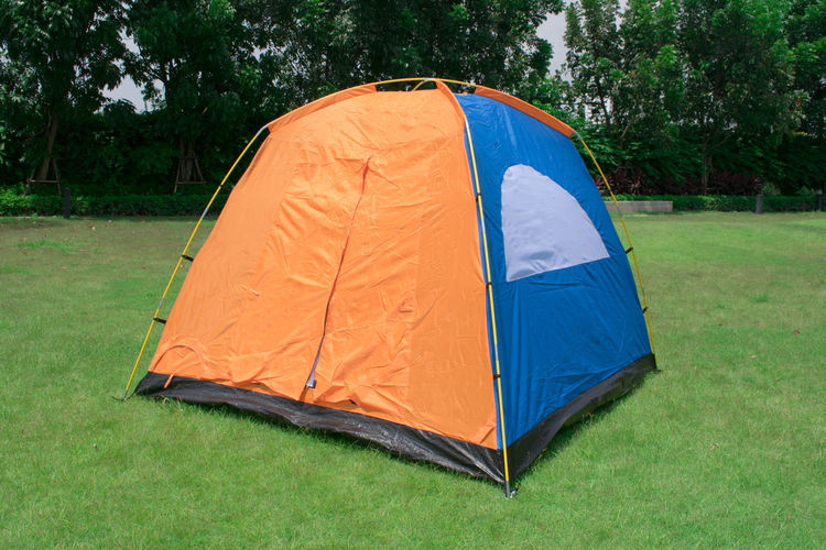 Family camping tent without rain fly setup on green park campsite
