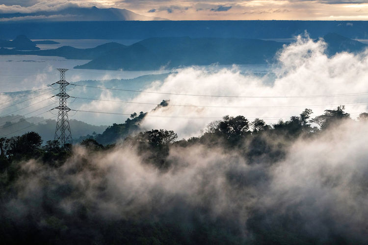 Fog covered trees during sunrise
