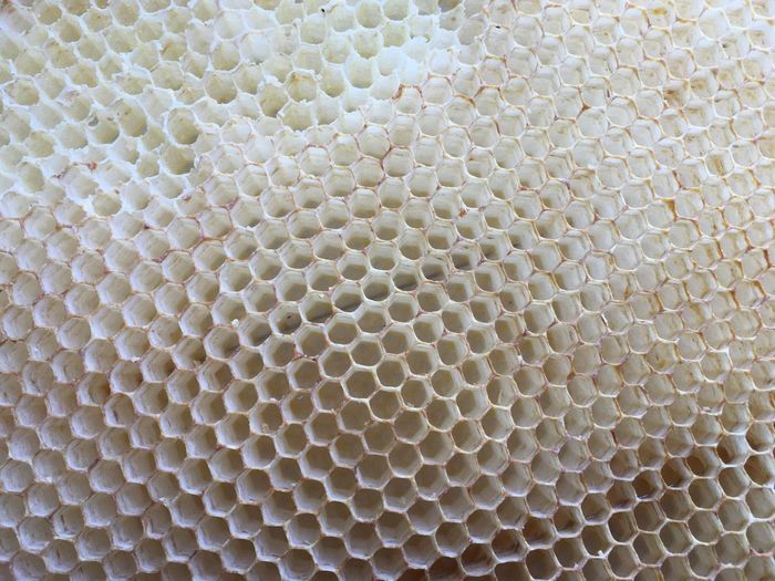 Full frame shot of beehive