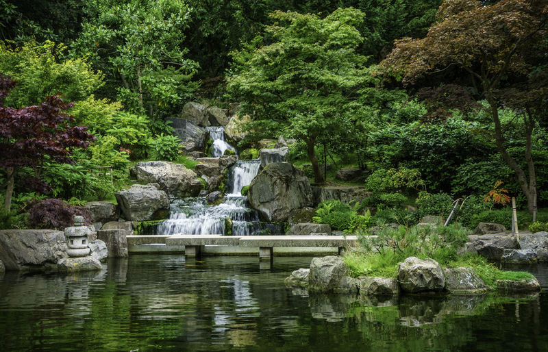 Stream in pond amidst trees at kyoto garden