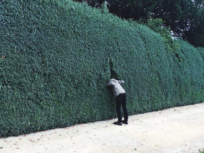Rear view of man standing by plant wall 