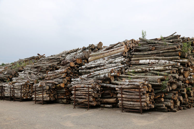 Stack of logs against clear sky