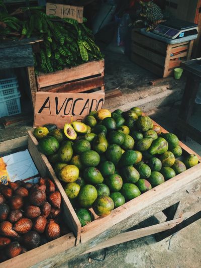 Avocado for sale in market 