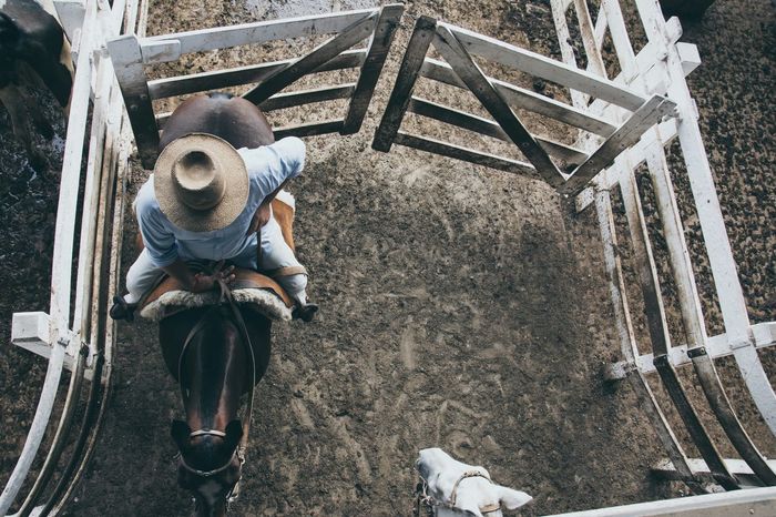 High angle view of cowboy riding horse at stable