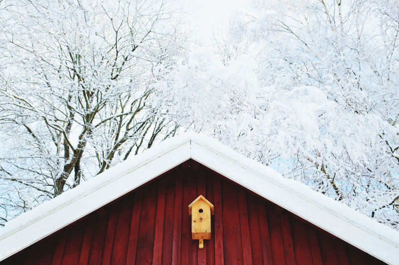 Low angle view of snow covered tree against building
