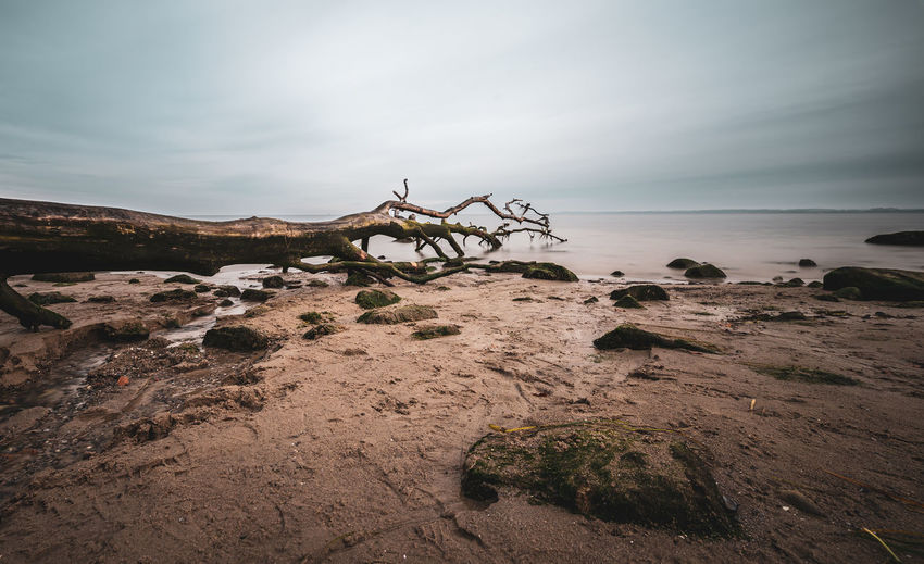 Driftwood on beach by sea against sky