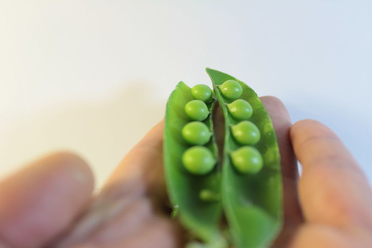 Cropped image of hand holding green pea