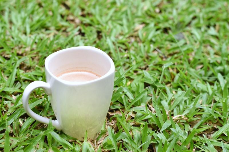 Close-up of drink on grass