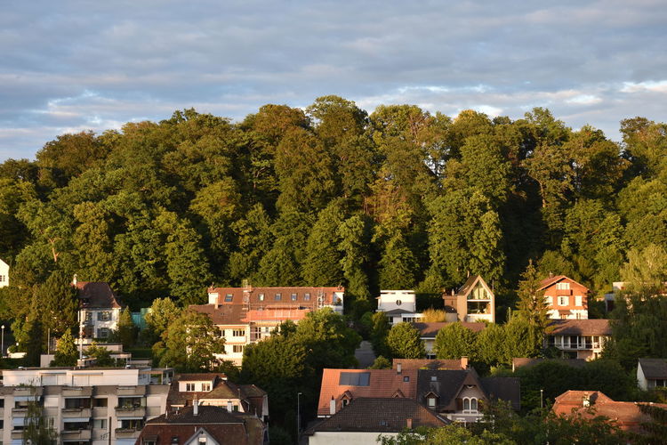High angle view of trees and buildings against sky