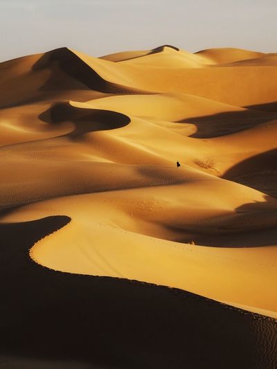 Scenic view of desert against sky during sunset