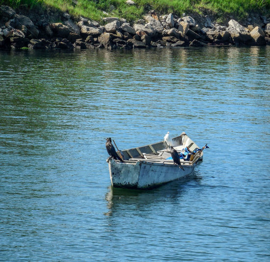 Boat in a lake