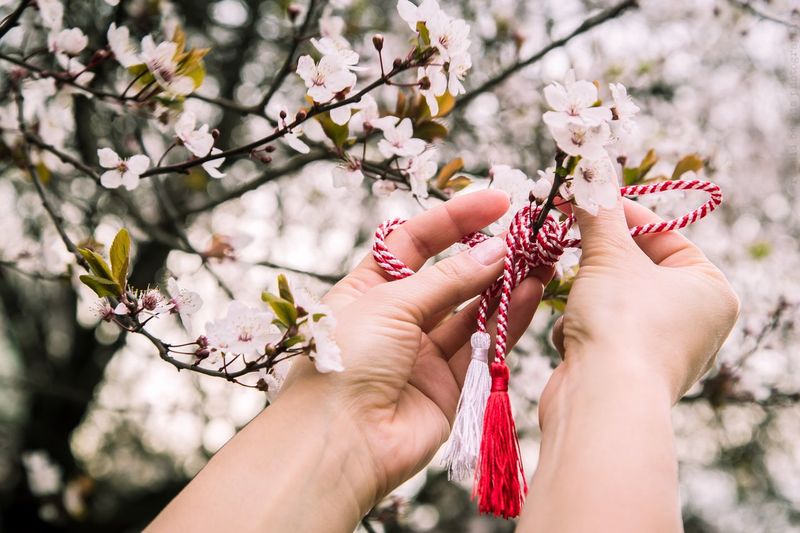 Close-up of hand tying martisor on flowers blooming on tree