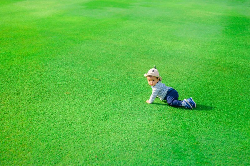High angle view of child on grassy field