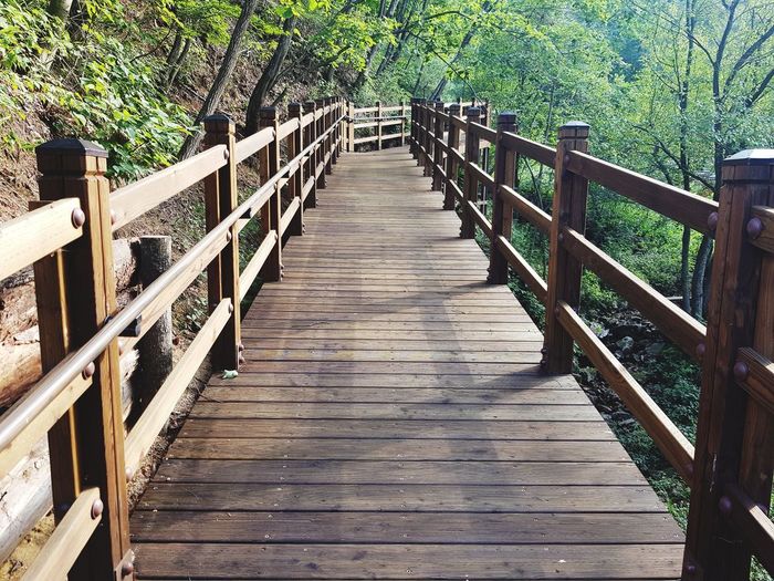 View of wooden footbridge in forest