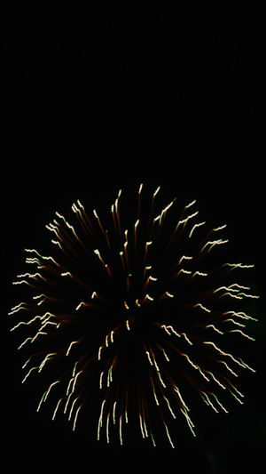 Low angle view of firework display against sky