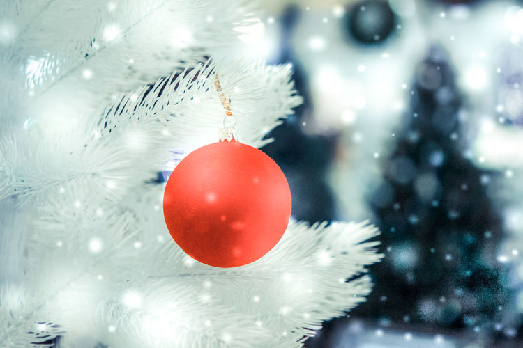 Close-up of christmas decoration hanging from tree