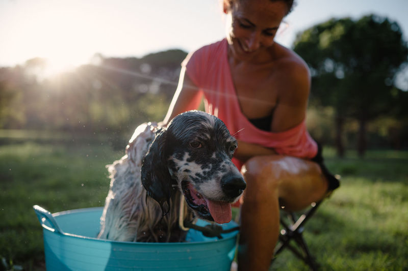 Middle-aged woman bathing her dog inside a basin in the garden on a sunny day. pet care concept.