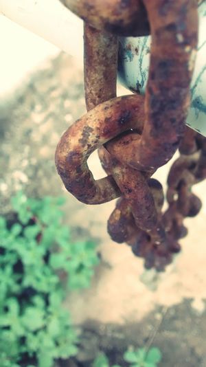 Close-up of rusty metal