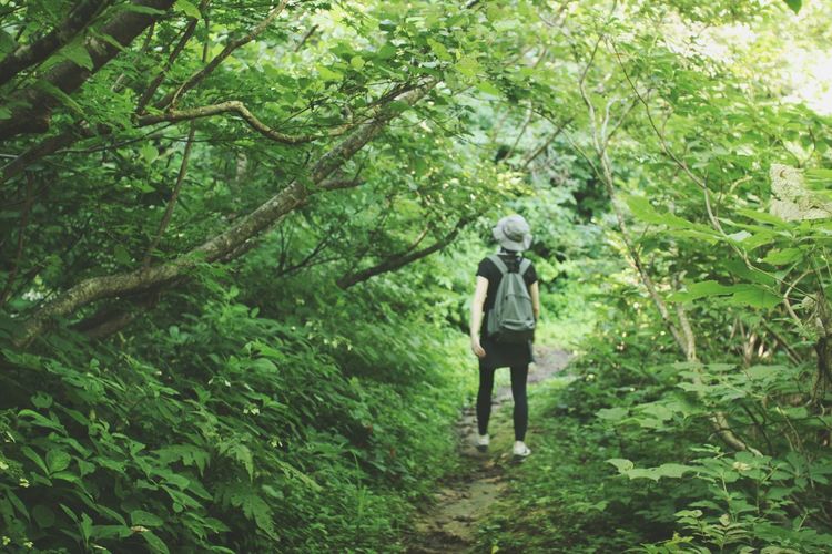 Full length of woman walking in forest