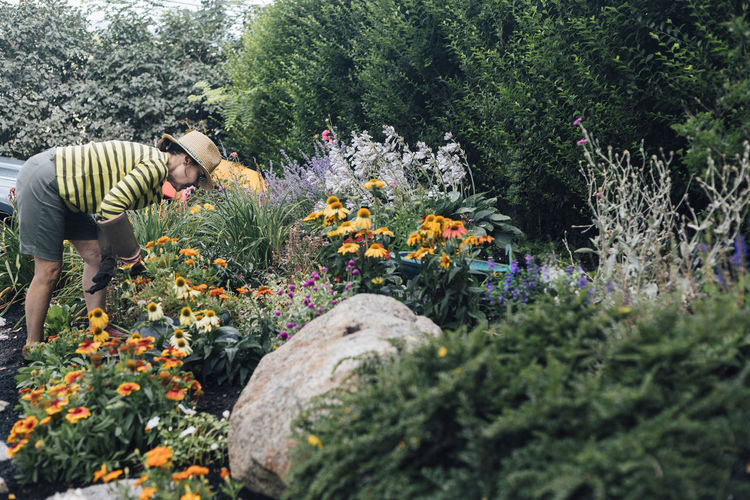Woman wearing hat gardening in flower garden